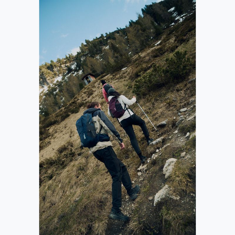 Vyriški turistiniai batai Jack Wolfskin Wild Hike Texapore Mid black 10