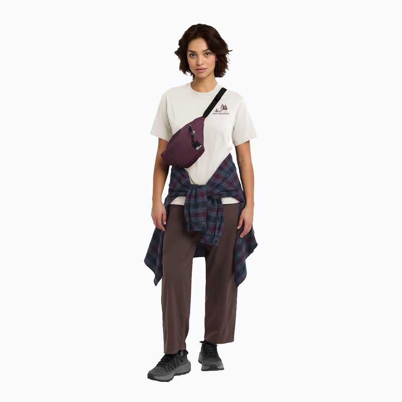 Moteriški marškinėliai Jack Wolfskin Cadena tent cotton white 2