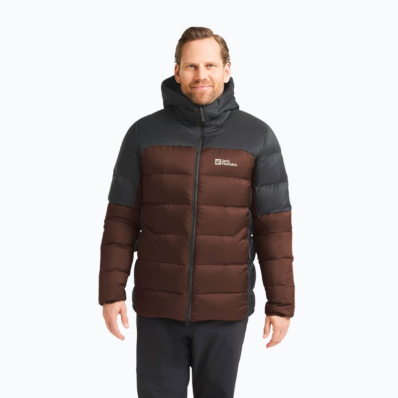 Vyriška pūsta striukė Jack Wolfskin Nebelhorn Down Hoody hot choc