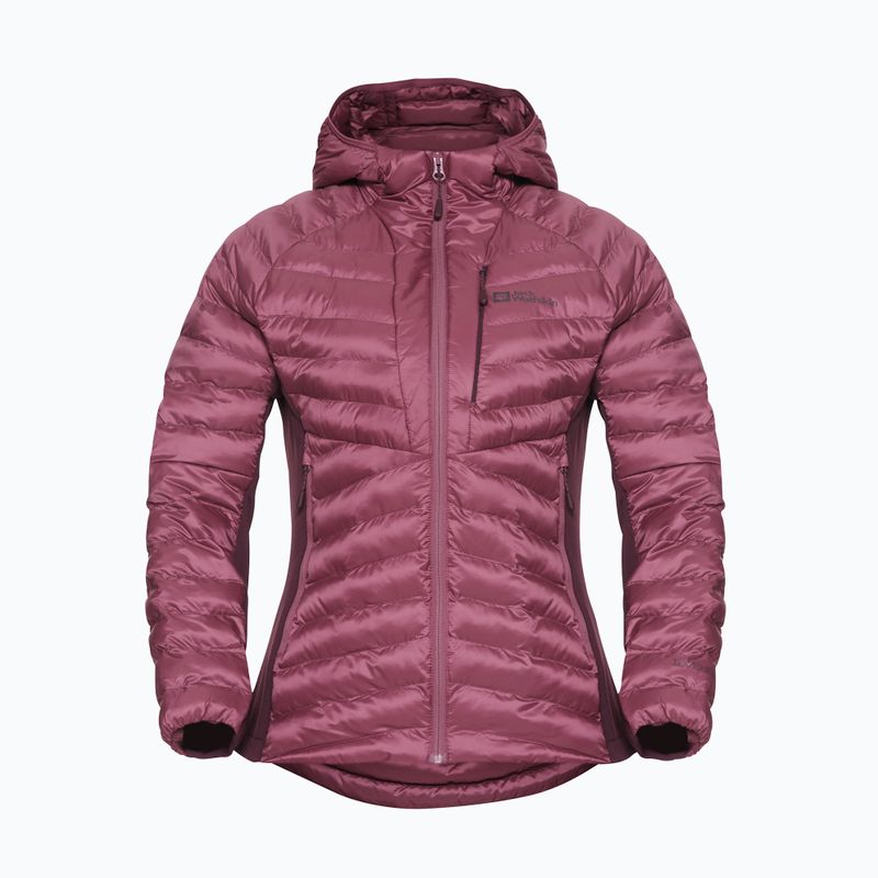 Moteriška pašiltinta striukė Jack Wolfskin Routeburn Pro Ins raisin 8
