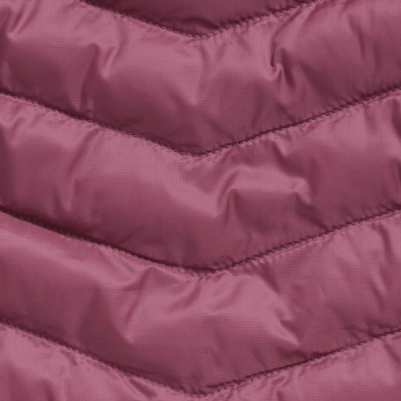 Moteriška pašiltinta striukė Jack Wolfskin Routeburn Pro Ins raisin 11