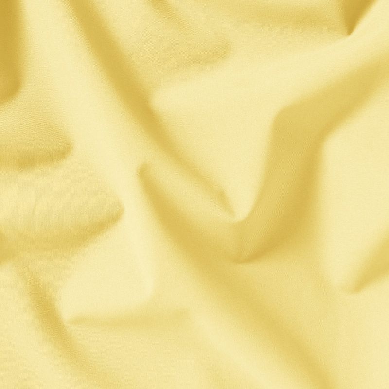 Moteriška striukė nuo lietaus Jack Wolfskin Trailtime 2L lemon ice 11