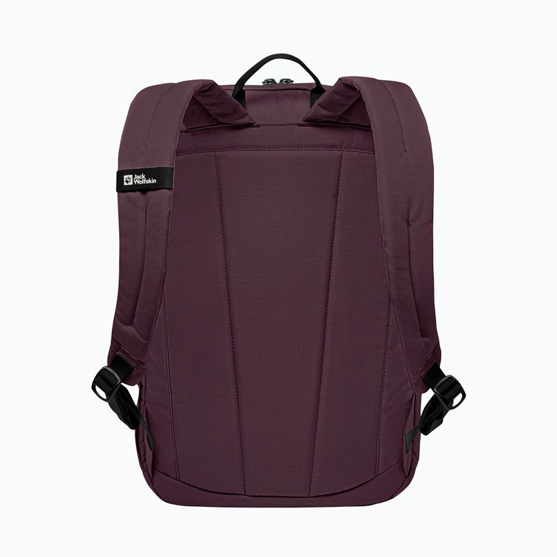 Miesto kuprinė Jack Wolfskin Terraview 20 l amaranth 3
