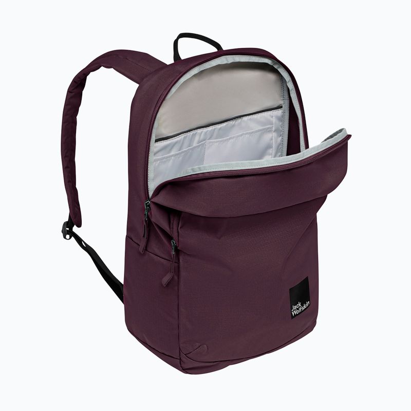 Miesto kuprinė Jack Wolfskin Terraview 20 l amaranth 6