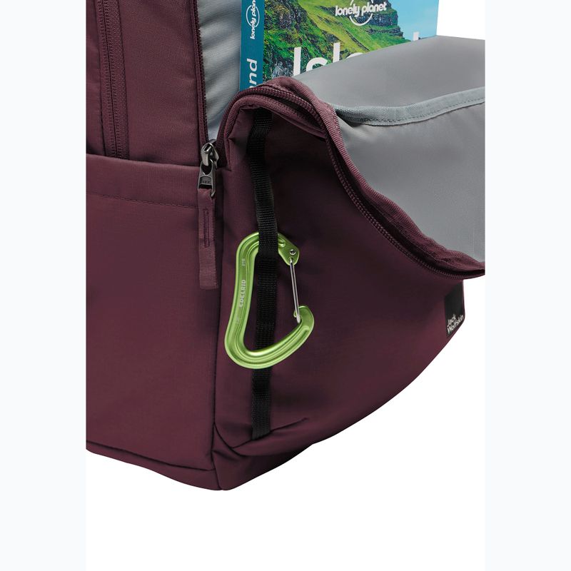 Miesto kuprinė Jack Wolfskin Terraview 20 l amaranth 9
