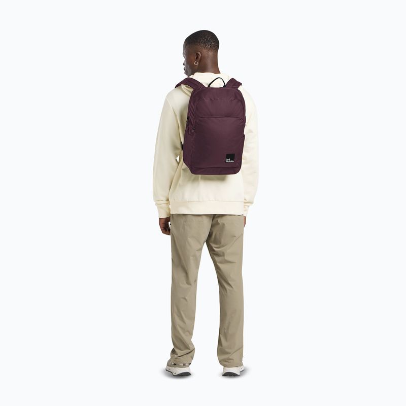 Miesto kuprinė Jack Wolfskin Terraview 20 l amaranth 11
