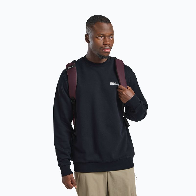 Miesto kuprinė Jack Wolfskin Terracade 24 l amaranth 11