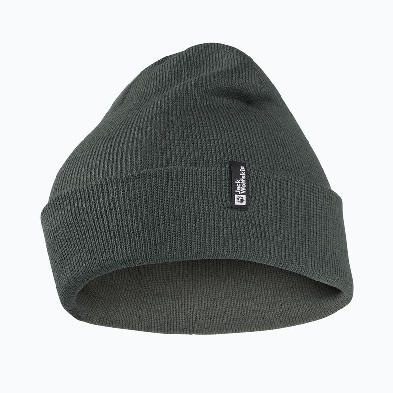 Žieminė kepurė Jack Wolfskin Rib slate green