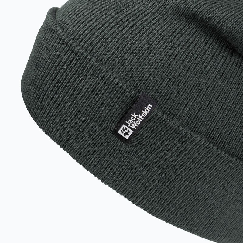 Žieminė kepurė Jack Wolfskin Rib slate green 3