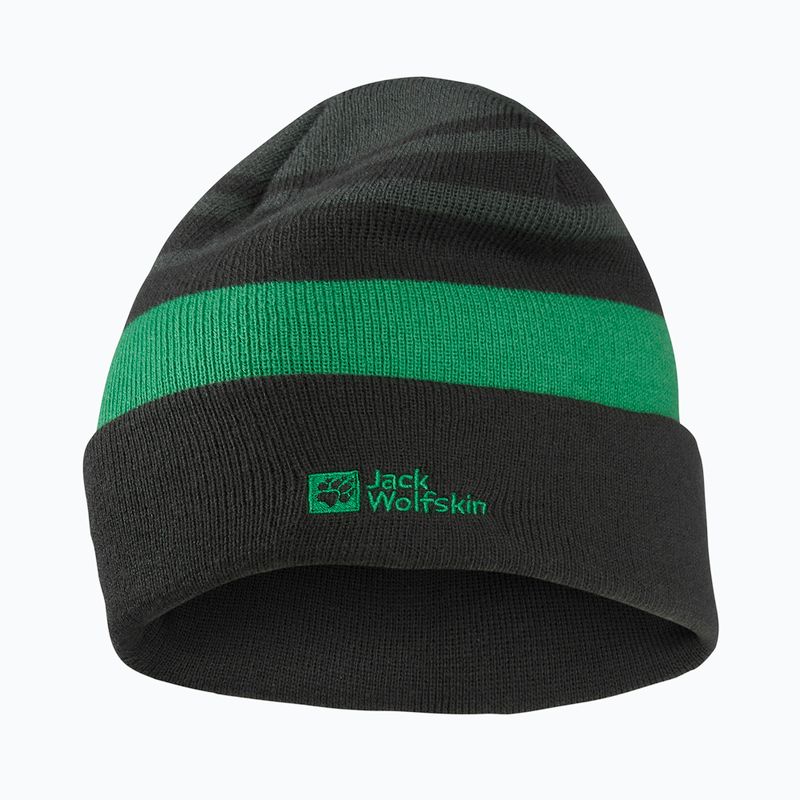 Vaikiška žieminė kepurė Jack Wolfskin Stripy Knit slate green/mystic