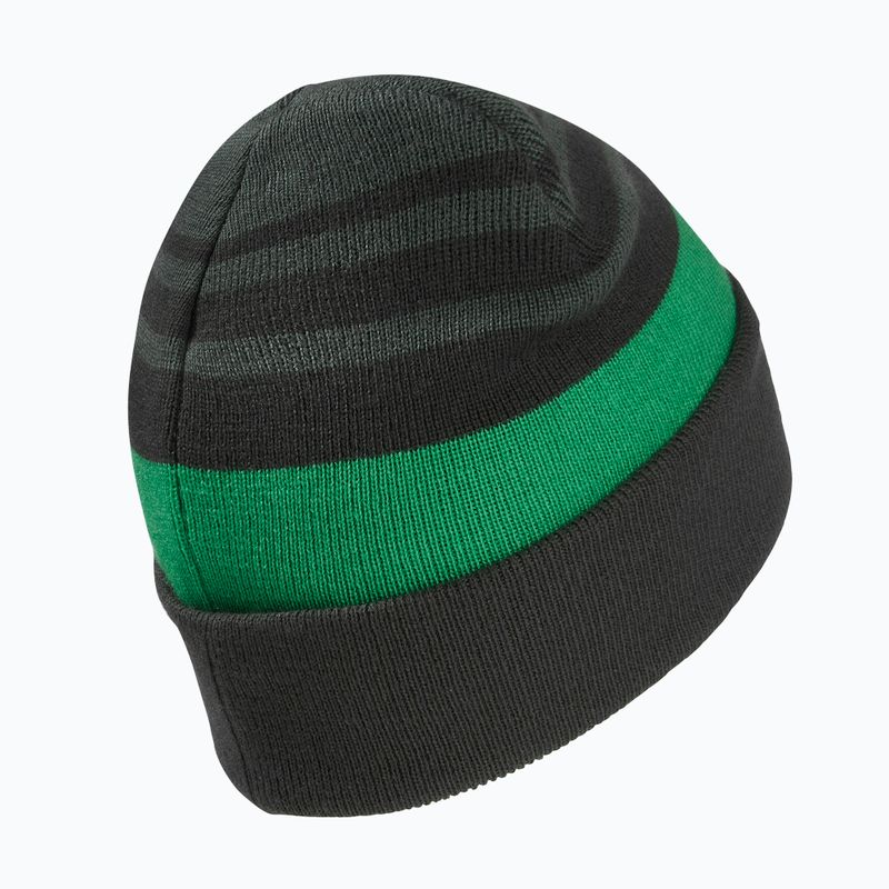 Vaikiška žieminė kepurė Jack Wolfskin Stripy Knit slate green/mystic 2