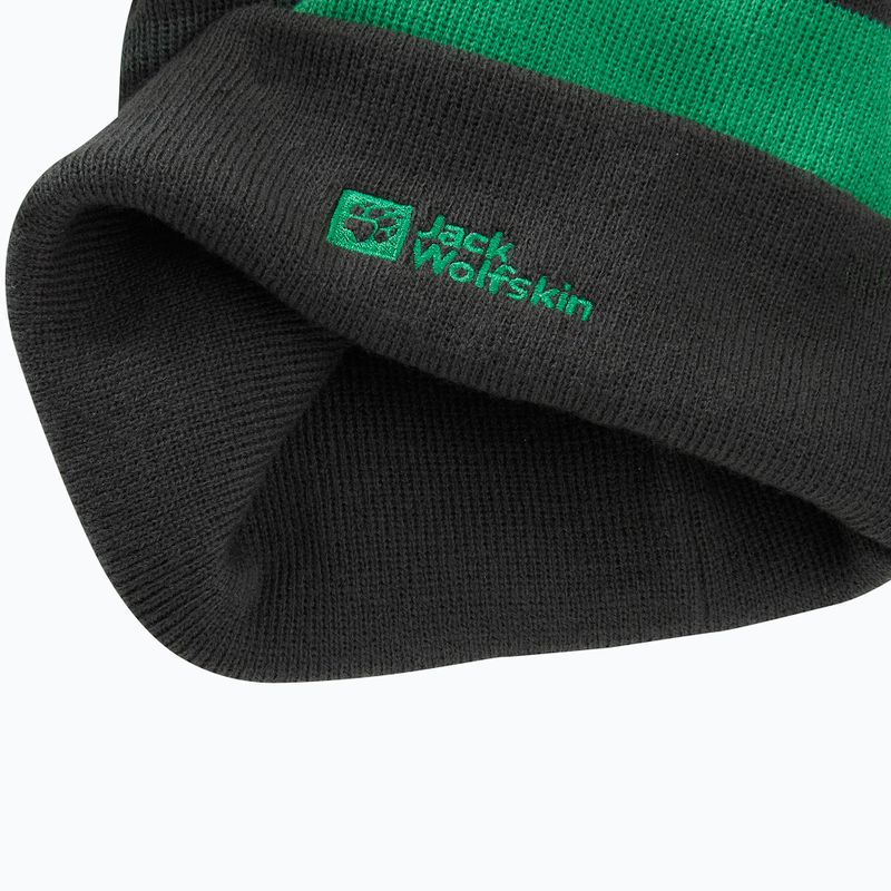 Vaikiška žieminė kepurė Jack Wolfskin Stripy Knit slate green/mystic 5