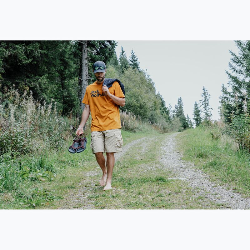 Vyriškos basutės Jack Wolfskin Taiga dark mahogany 7