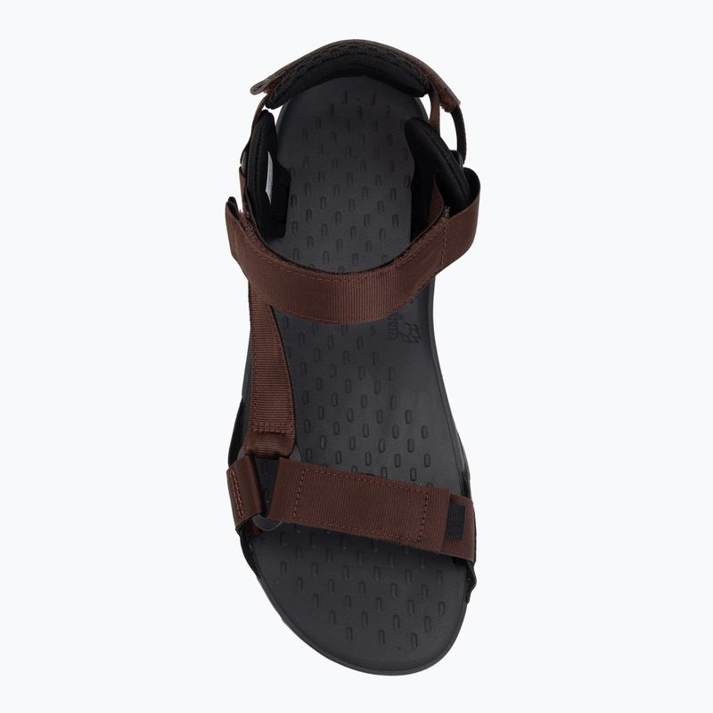 Vyriškos basutės Jack Wolfskin Ridge dark mahogany 5