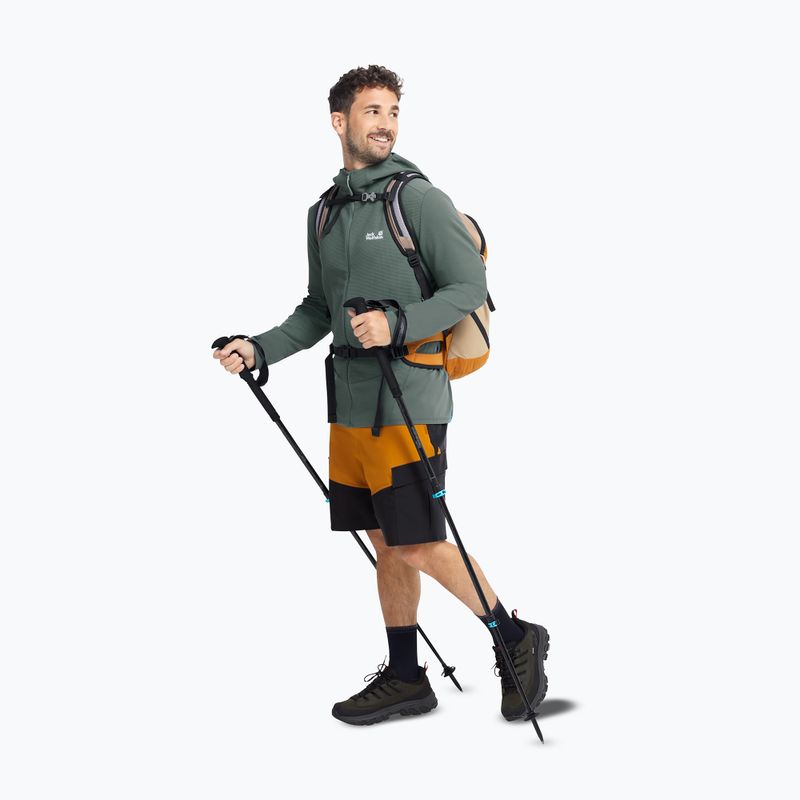 Vyriški žygio batai Jack Wolfskin Apex Hike Texapore Low obsidian moss 7