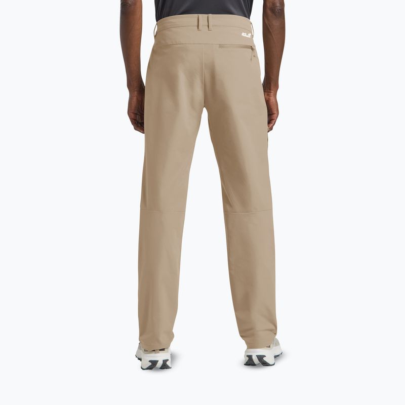 Vyriškos žygio kelnės Jack Wolfskin Pico Trail hazel wood 3