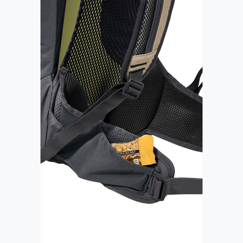 Turistinė kuprinė Jack Wolfskin Astro Vent 30 l hazel wood 13