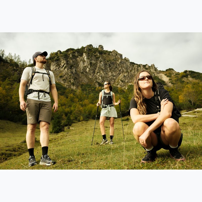 Turistinė kuprinė Jack Wolfskin Astro Vent 30 l hazel wood 20