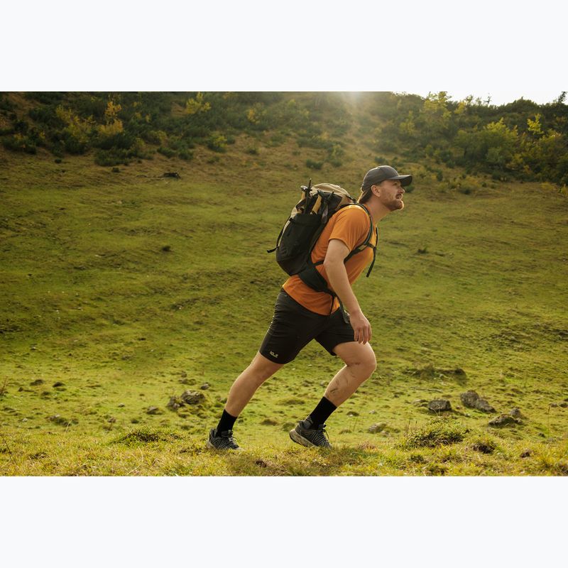 Turistinė kuprinė Jack Wolfskin Astro Vent 30 l hazel wood 21