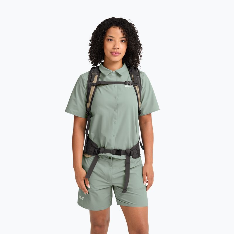 Turistinė kuprinė Jack Wolfskin Astro Vent 24 l hazel wood 16