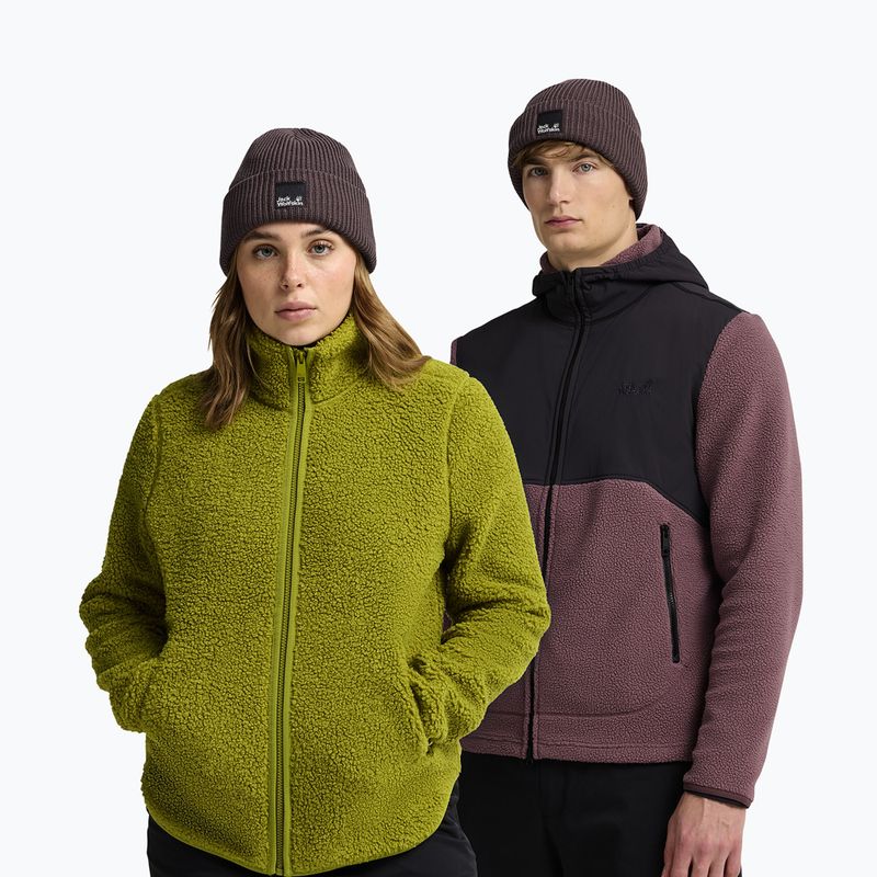 Žieminė kepurė Jack Wolfskin Pergamon Beanie sheer plum 4