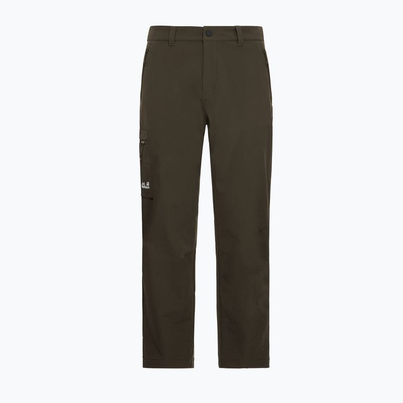 Vyriškos žygių kelnės Jack Wolfskin Activate Flex obsidian moss 7