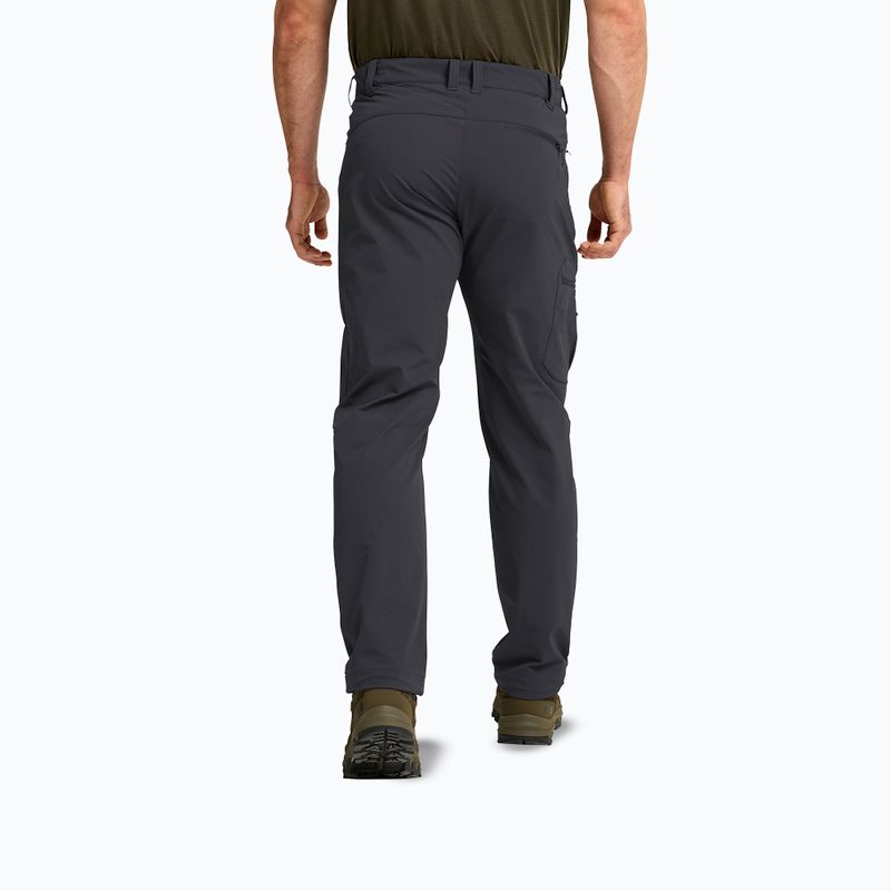 Vyriškos žygių kelnės Jack Wolfskin Activate Flex phantom 3