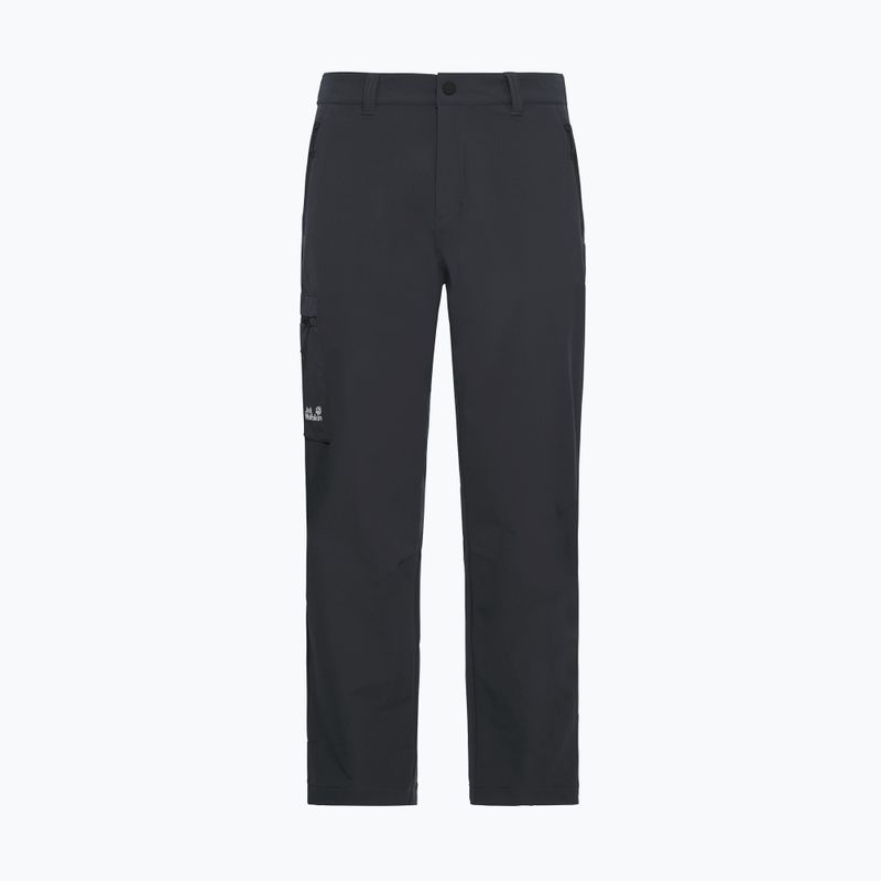 Vyriškos žygių kelnės Jack Wolfskin Activate Flex phantom 7