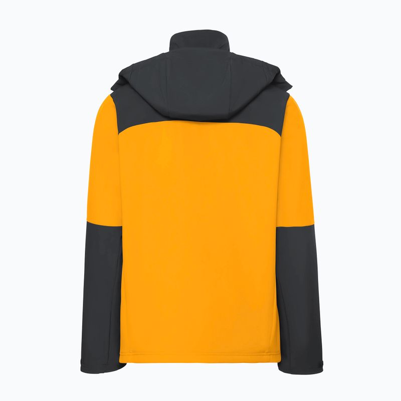 Vėjo nepraleidžianti vyriška striukė Jack Wolfskin Jasper burly yellow jw 10