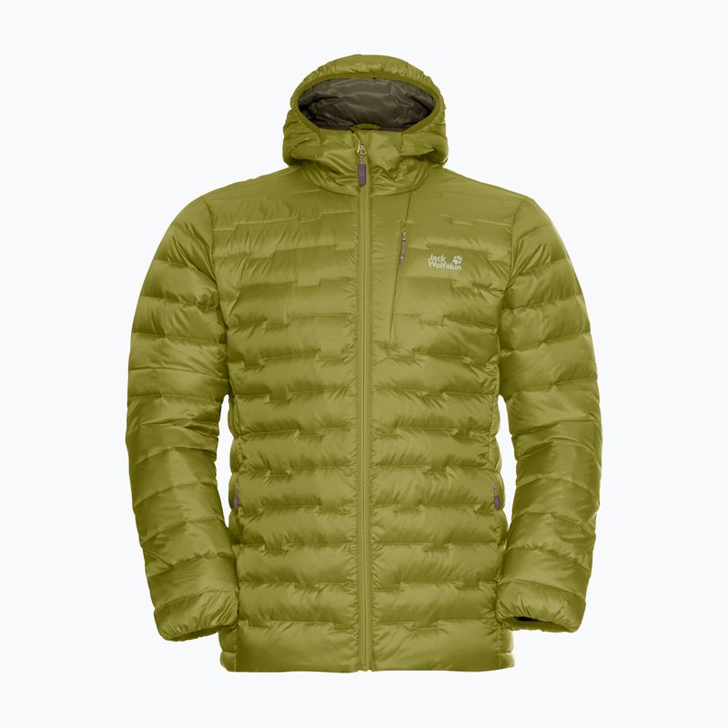 Vyriška pūsta striukė Jack Wolfskin Passamani Down Hoody khaki green 6