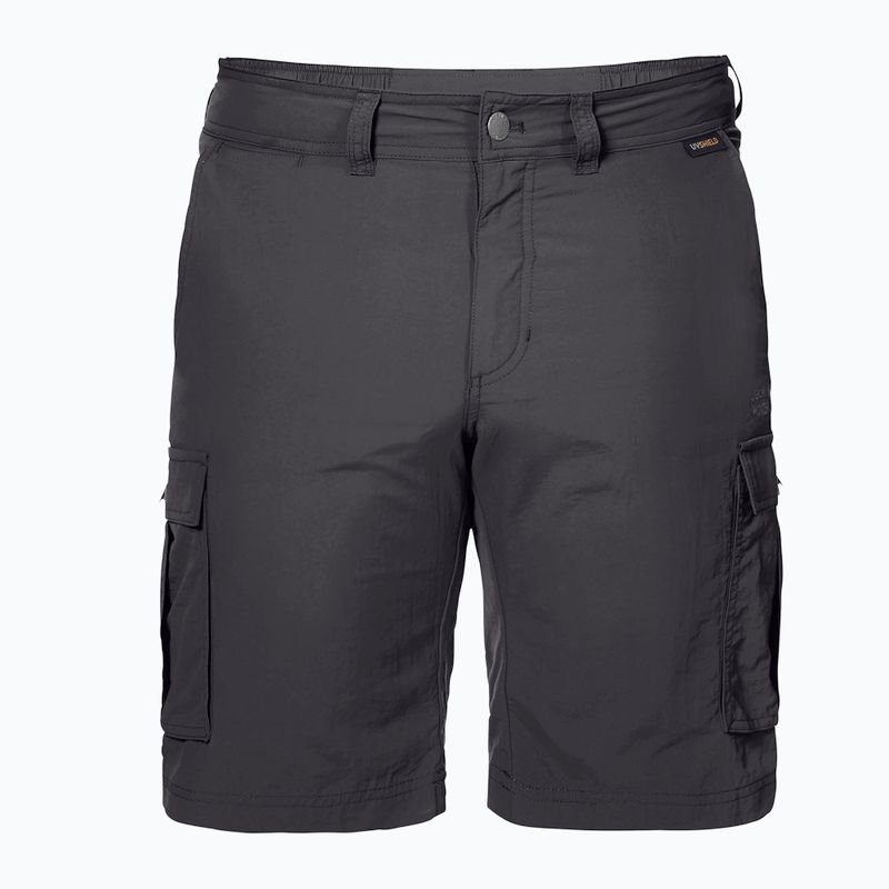 Jack Wolfskin vyriški trekingo šortai Canyon Cargo grey 1504201_6168 5