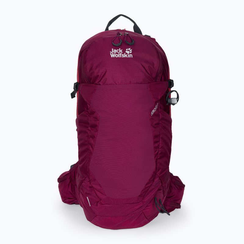 Jack Wolfskin Crosstrail ST 22 l turistinė kuprinė bordinė 2009562_2222 2