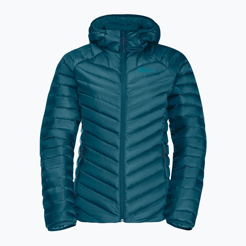 Jack Wolfskin moteriška pūkinė striukė Passamani Down Hoody blue 1207101_4133 10