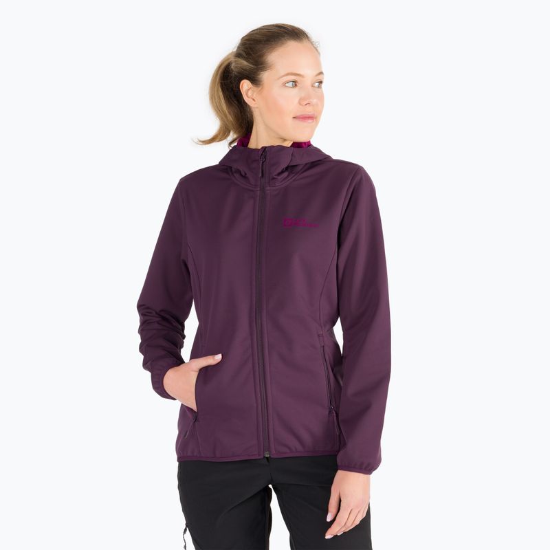 Jack Wolfskin moteriška softshell striukė Windhain Hoody purple 1307481