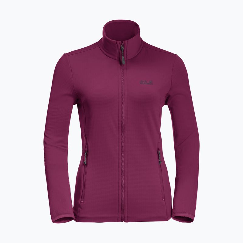 Jack Wolfskin moteriški Peak Grid Fleece džemperiai violetinės spalvos 1710351 8