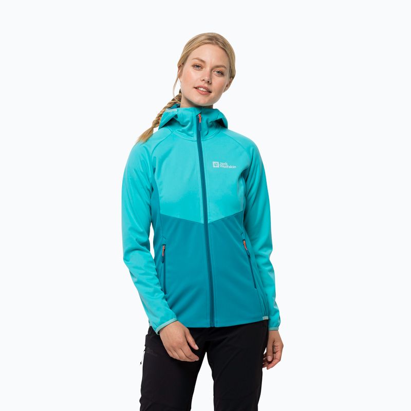 Jack Wolfskin moteriška Go Hike Softshell striukė mėlyna 1306862