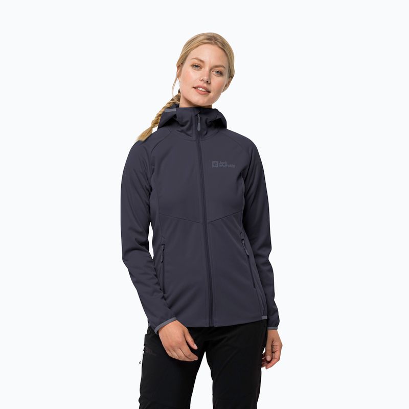 Jack Wolfskin moteriška Go Hike Softshell striukė pilka 1306862