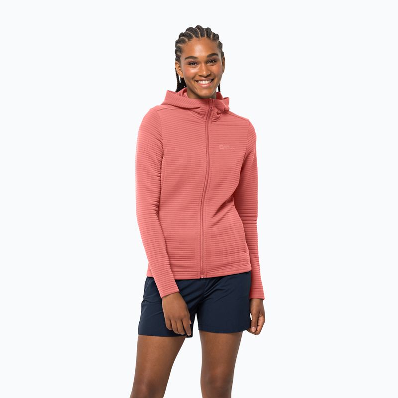 Moteriškos sportinės striukės Jack Wolfskin Modesto Hooded pink 1706254