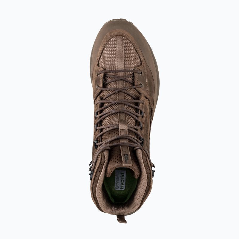 Vyriški žygio batai Jack Wolfskin Terraquest Texapore Mid bear 12