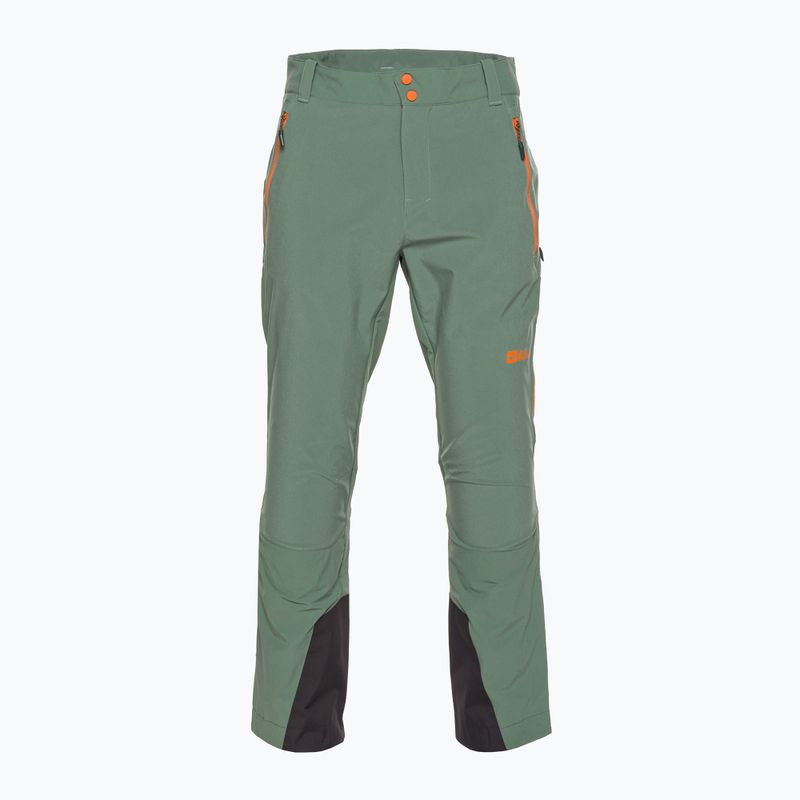 Jack Wolfskin vyriškos trekingo kelnės Alpspitze Tour hedge green 6