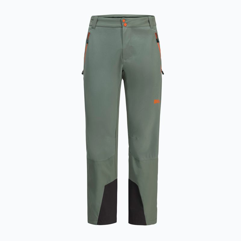 Jack Wolfskin vyriškos trekingo kelnės Alpspitze Tour hedge green 10