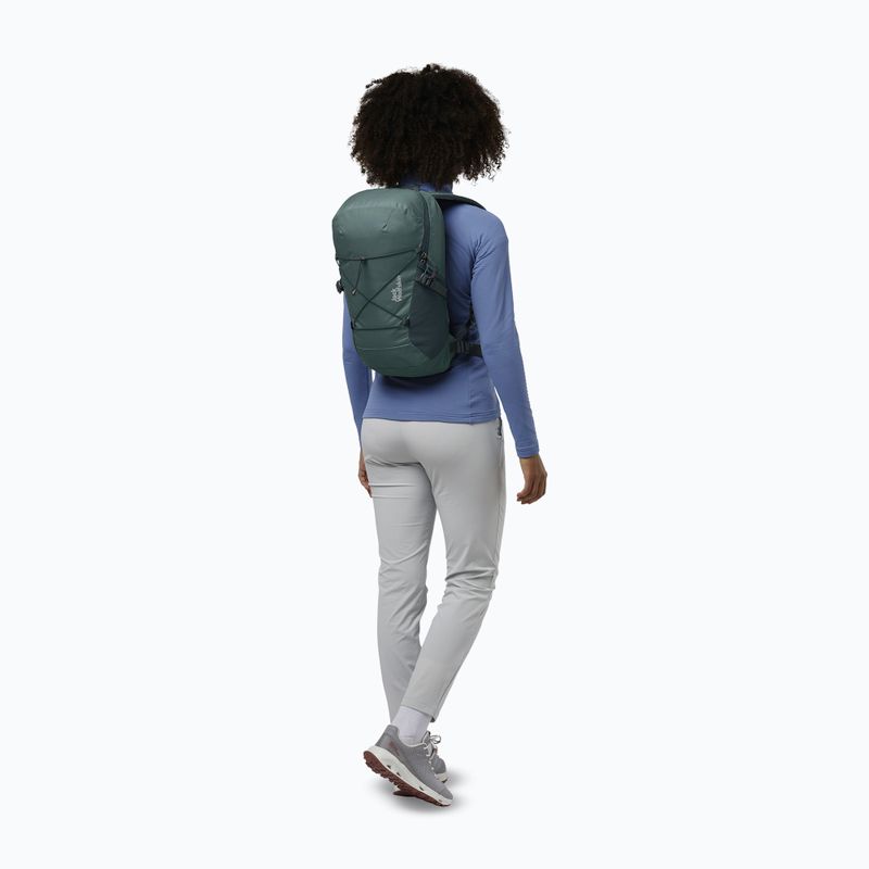 Turistinė kuprinė Jack Wolfskin Cyrox Shape 15 l jade green 12