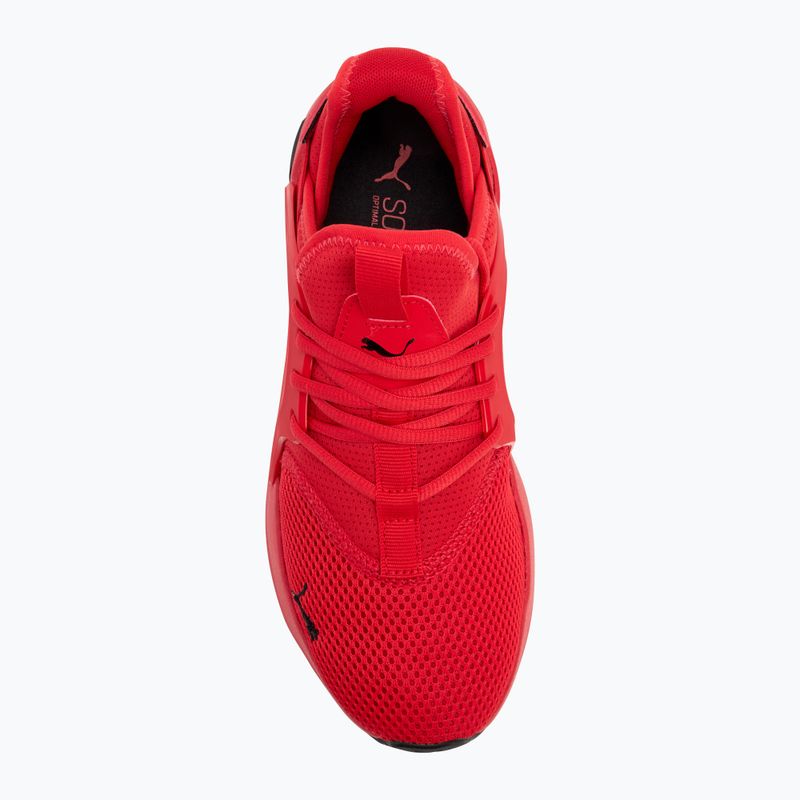 Vyriški bėgimo batai PUMA Softride Enzo Evo high risk red/puma black 5