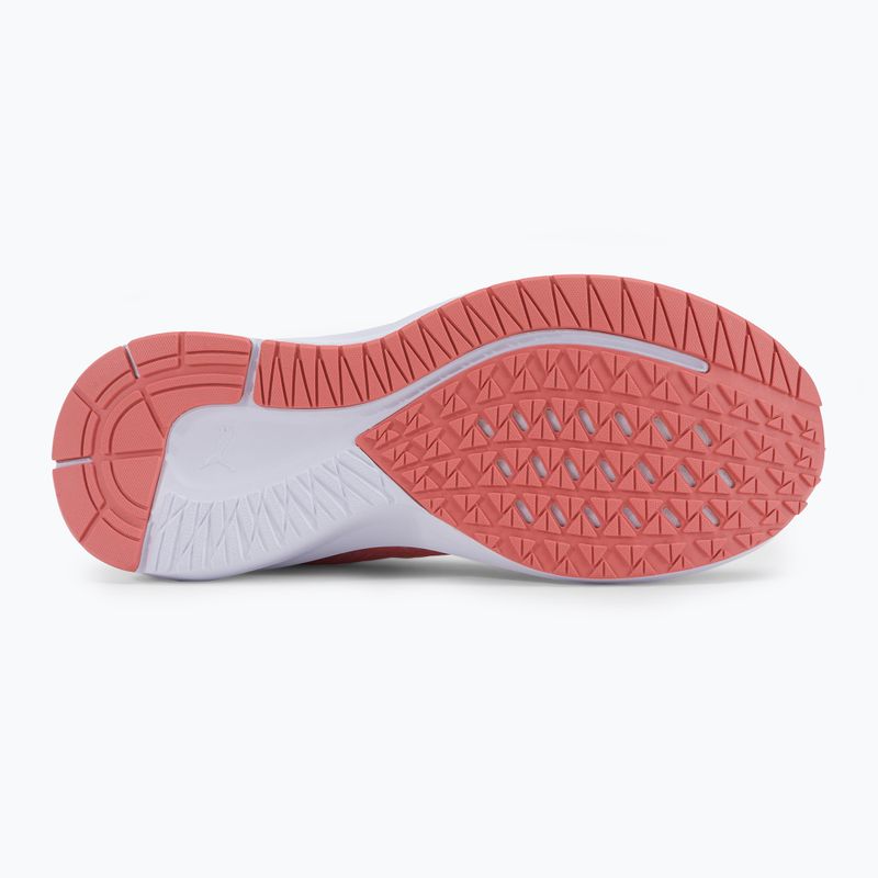 PUMA Aviator Profoam Sky 12 bėgimo bateliai rožinės spalvos 376615 12 5