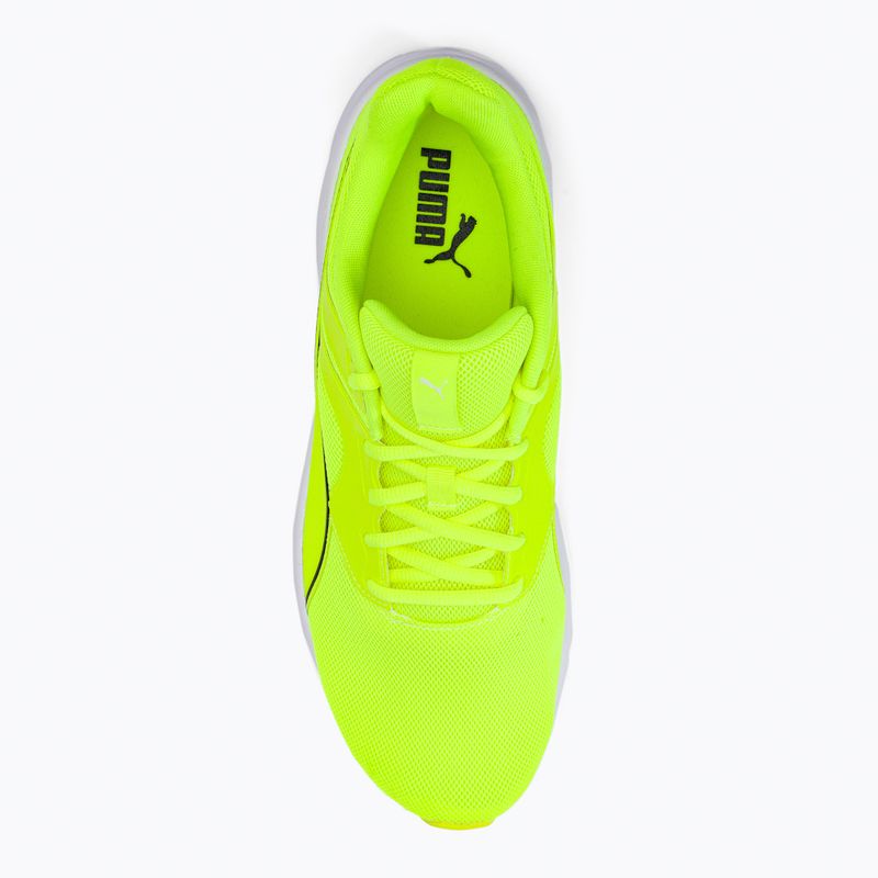 Vyriški bėgimo bateliai PUMA Transport green 377028 10 6