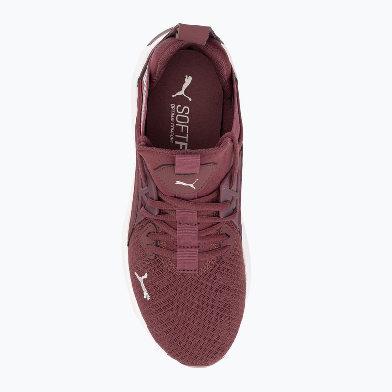 Moteriški bėgimo bateliai PUMA Softride Enzo Nxt maroon 195235 17 6