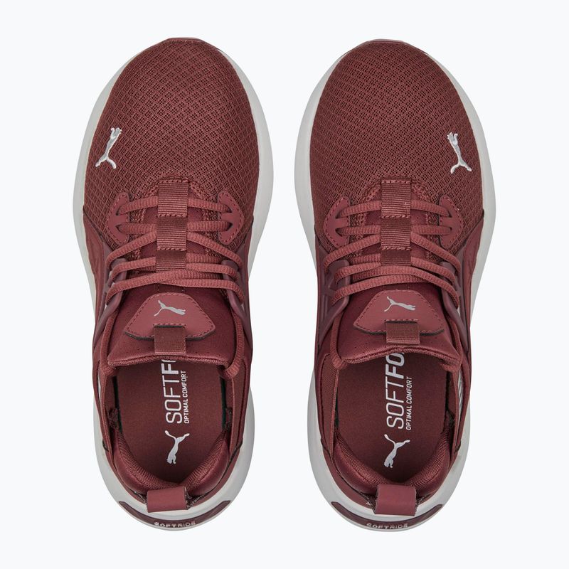 Moteriški bėgimo bateliai PUMA Softride Enzo Nxt maroon 195235 17 14