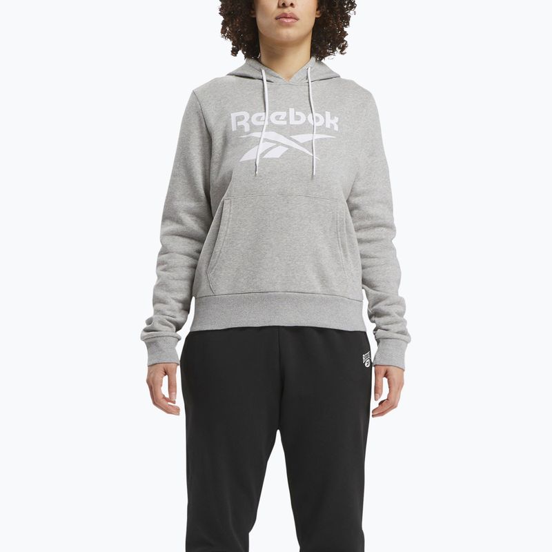 Moteriškas džemperis Reebok Identity Big Logo Fleece medium grey heather
