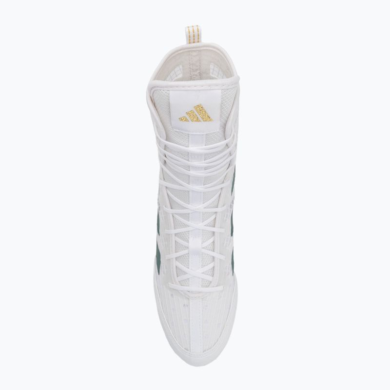 Bokso bateliai adidas Box Hog 4 cloud white/collegiate green/core black 5