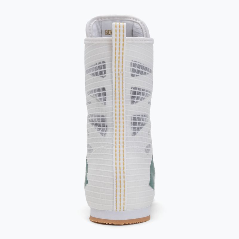 Bokso bateliai adidas Box Hog 4 cloud white/collegiate green/core black 6